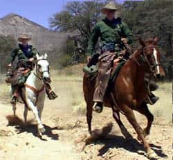 USBP horses