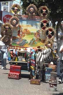 tijuana donkey